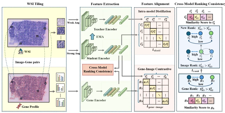 RankByGene framework figure from the paper
