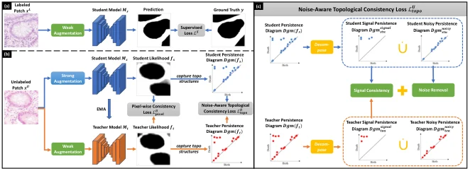 TopoSemiSeg framework figure from the paper